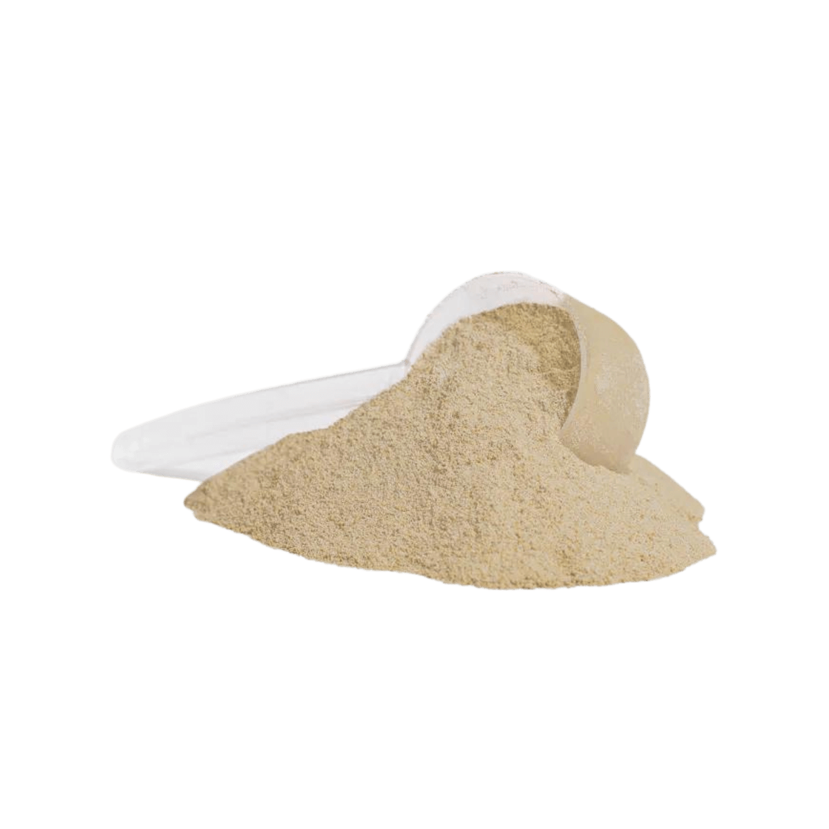 Advanced 100% Whey Protein Isolate (Vanilla)